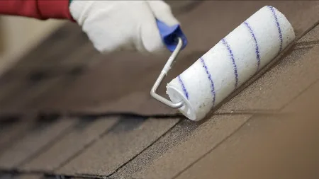 ТЕХНОНИКОЛЬ Антисептик для кровли (защита от плесени и мха) 1:10, 1л (549704) ТЕХНОНИКОЛЬ Антисептик для кровли (защита от плесени и мха) 1:10, 1л (549704)